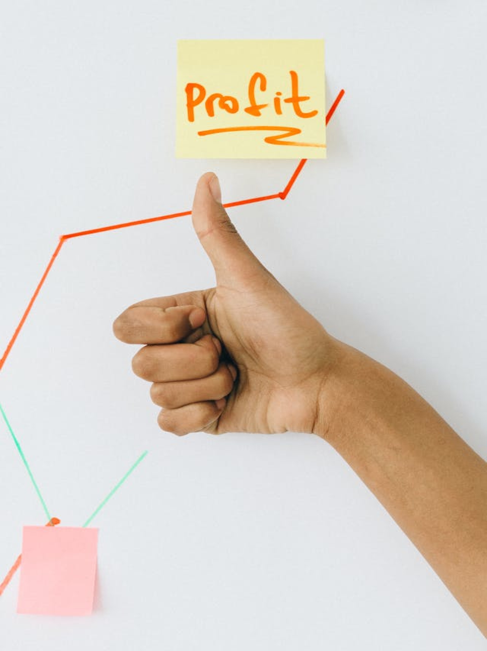 We believe that business success should never come at the expense of people or the planet. We enable companies to thrive while making a positive contribution to society and the environment.